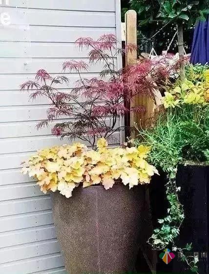 百搭的私家花園設(shè)計風(fēng)格總結(jié)經(jīng)驗營造您的小花園