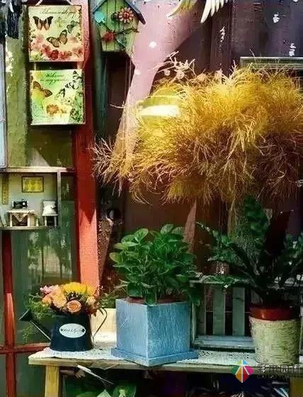 百搭的私家花園設(shè)計風(fēng)格總結(jié)經(jīng)驗營造您的小花園