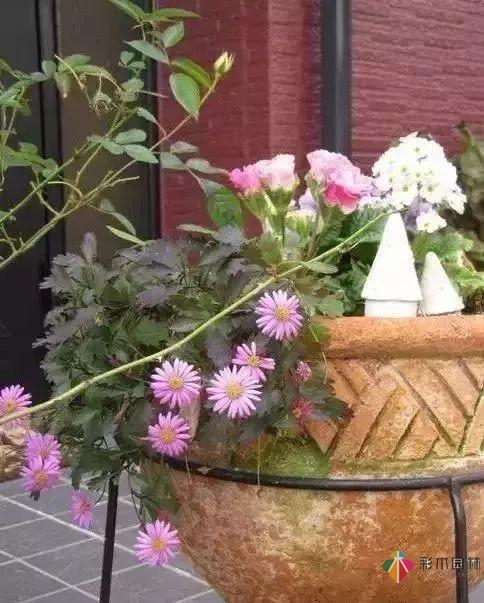 百搭的私家花園設(shè)計風(fēng)格總結(jié)經(jīng)驗營造您的小花園