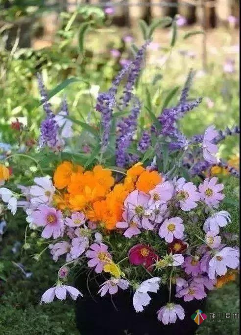 百搭的私家花園設(shè)計風(fēng)格總結(jié)經(jīng)驗營造您的小花園
