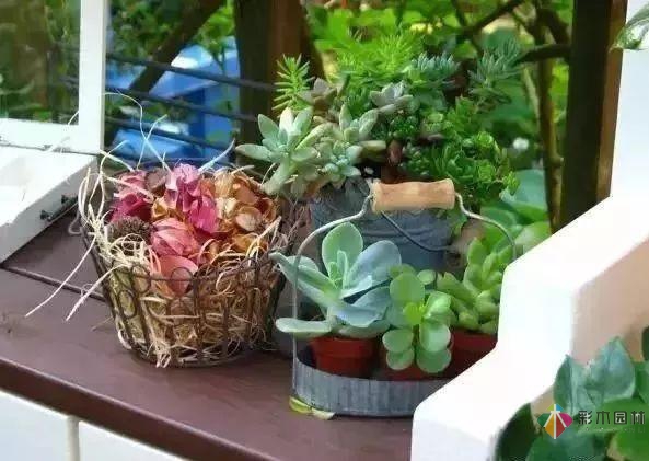 百搭的私家花園設(shè)計風(fēng)格總結(jié)經(jīng)驗營造您的小花園