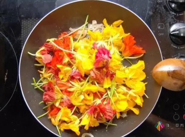15個(gè)容器蔬菜花園設(shè)計(jì)看得我真的好想要!