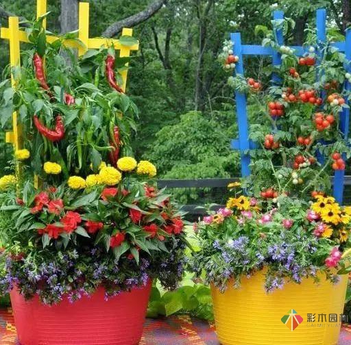 15個(gè)容器蔬菜花園設(shè)計(jì)看得我真的好想要!