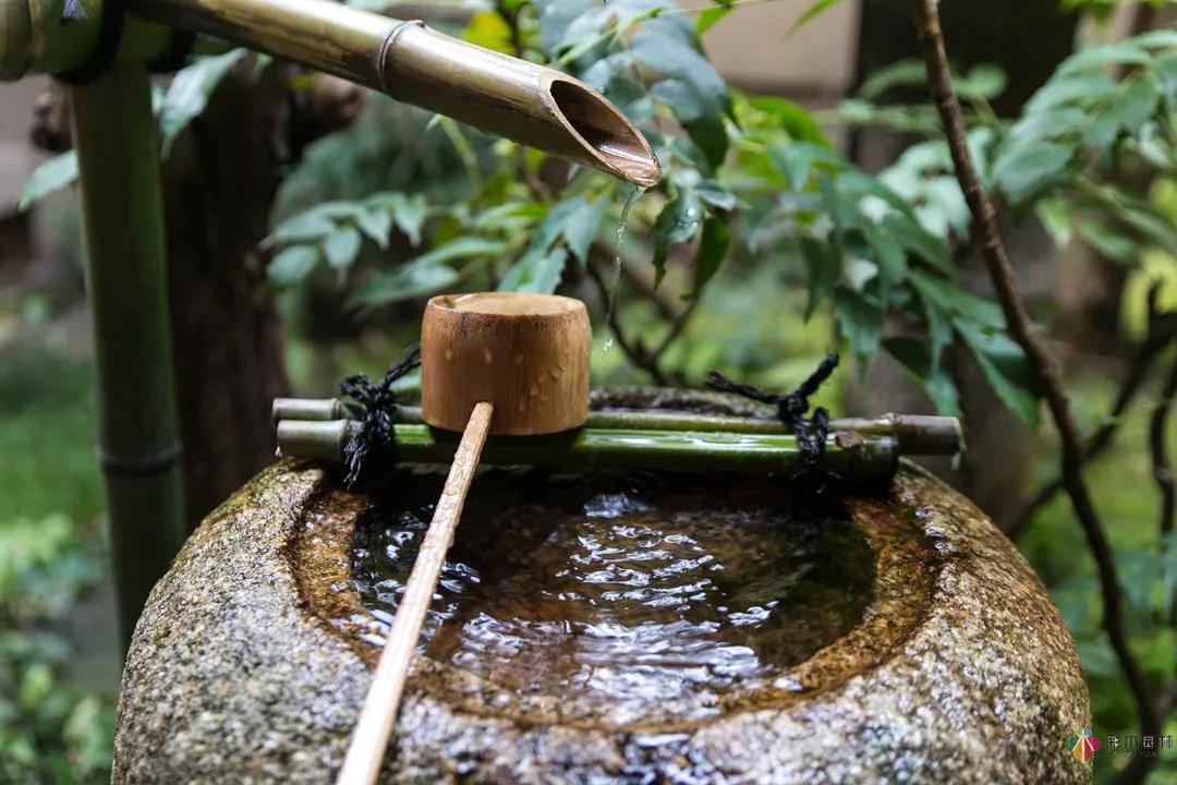 花園水景設計和養(yǎng)護要點基本的都在這里了!