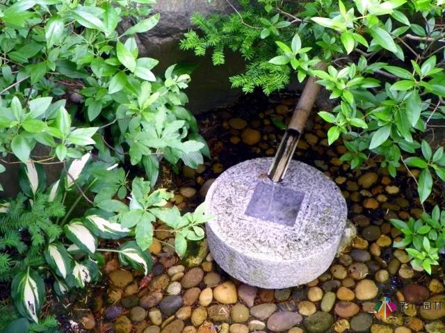 花園水景設計和養(yǎng)護要點基本的都在這里了!