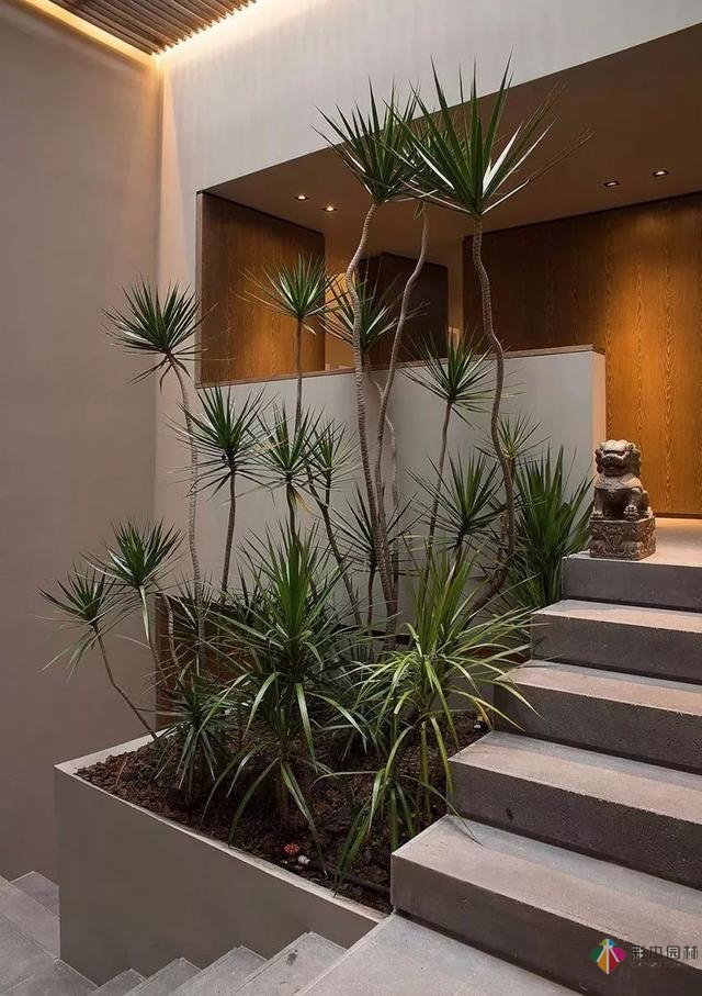 創意私家庭院花園設計鑒賞
