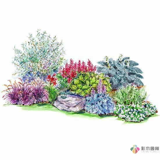 繪畫花境設計對植物總是表現的四方面