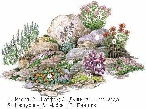 繪畫花境設計對植物總是表現的四方面