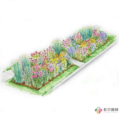 繪畫花境設計對植物總是表現的四方面