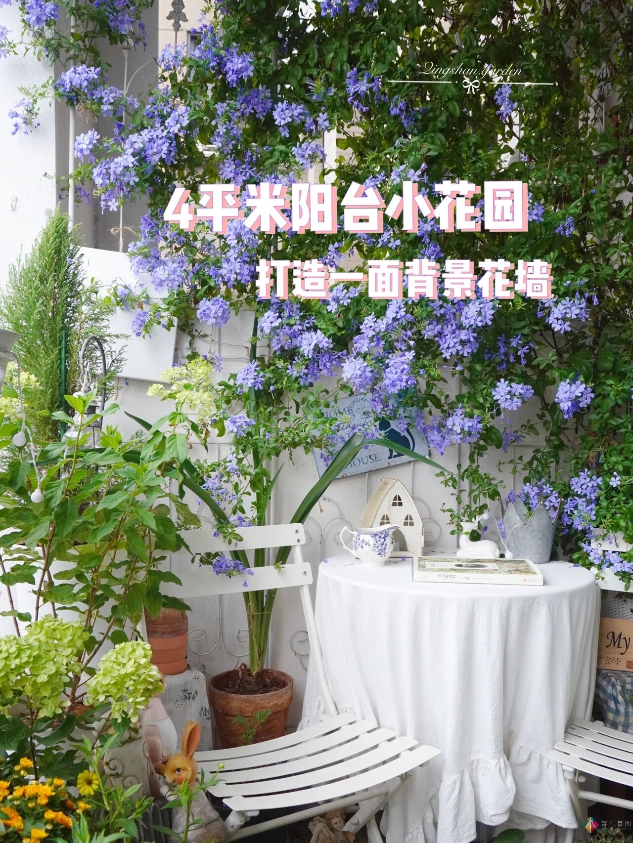 4㎡陽(yáng)臺(tái)花園改造，輕松打造背景花墻，享受種花樂趣。
