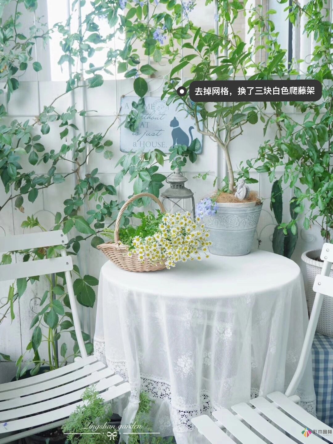 4㎡陽(yáng)臺(tái)花園改造，輕松打造背景花墻，享受種花樂趣。