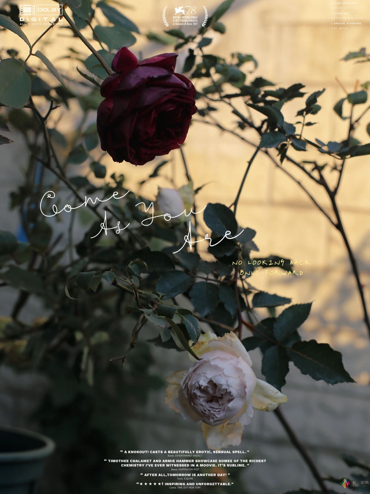30㎡復式露臺，種花種草打造“sky 花園”，折騰了一年多，