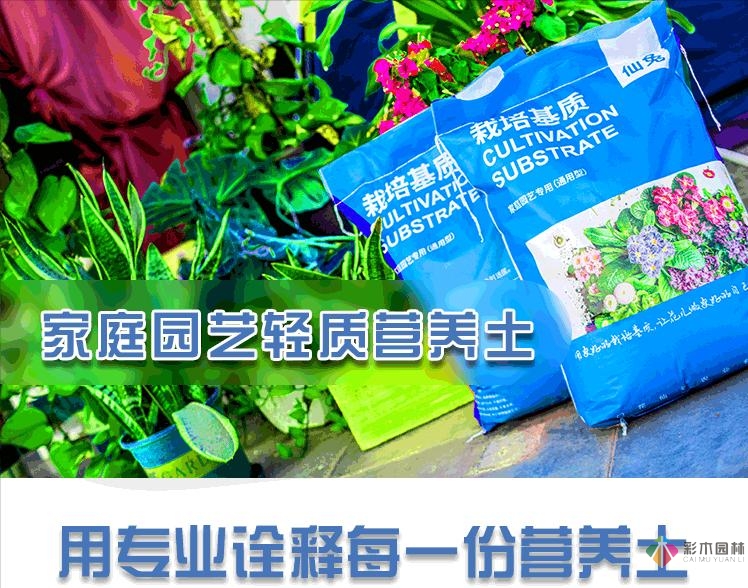 30㎡復式露臺，種花種草打造“sky 花園”，折騰了一年多，