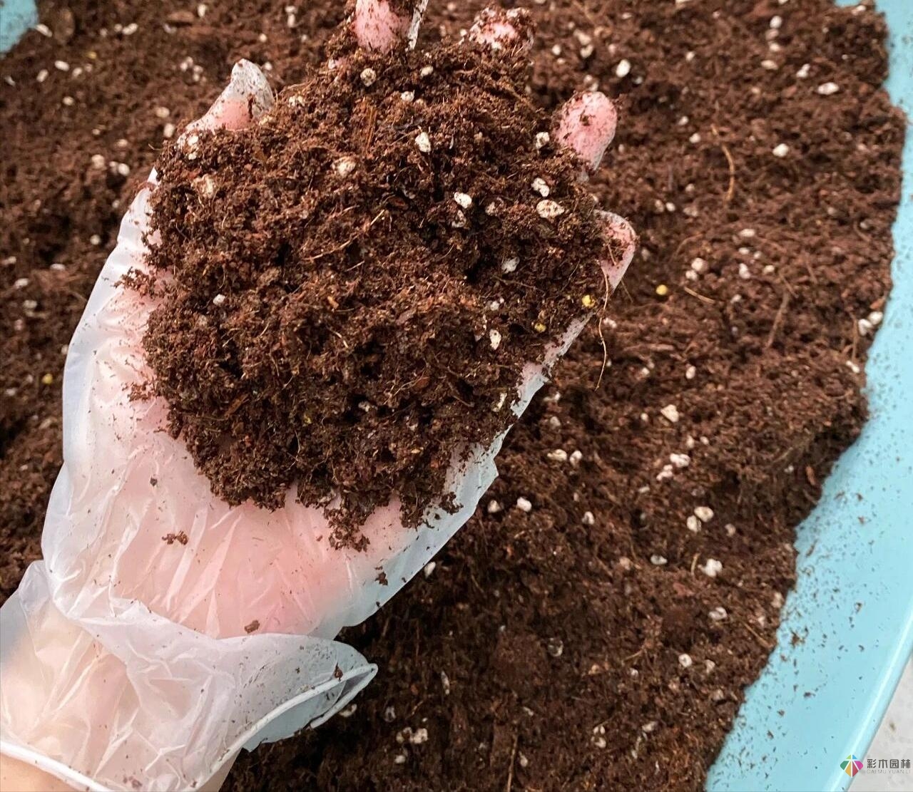 30㎡復式露臺，種花種草打造“sky 花園”，折騰了一年多，