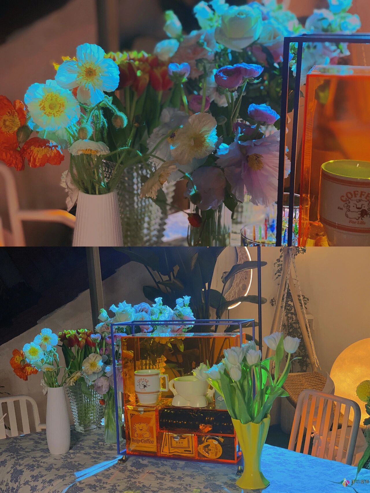 30㎡屋頂露臺的改造，曾經被忽視的破閣樓，在宮崎駿其人變