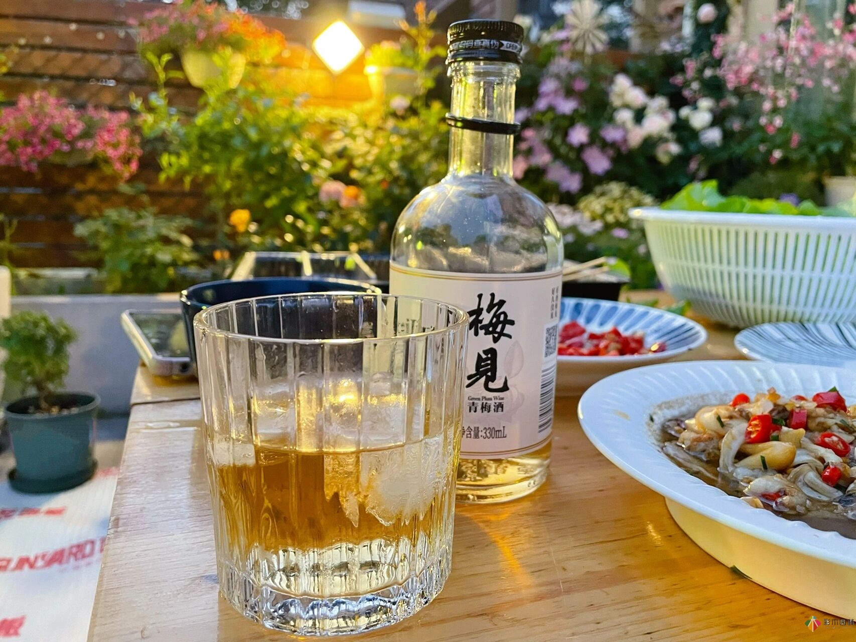 31歲的時候,用花園買了房子。折騰了300多天,滿園花開。