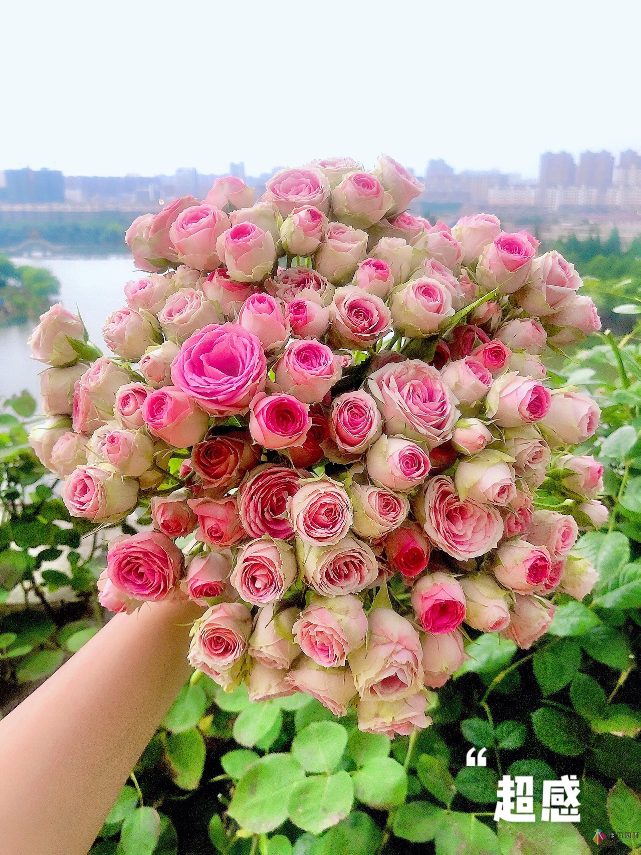 100㎡的復式露臺，半花半菜，有詩意，有生活，如此愜意。