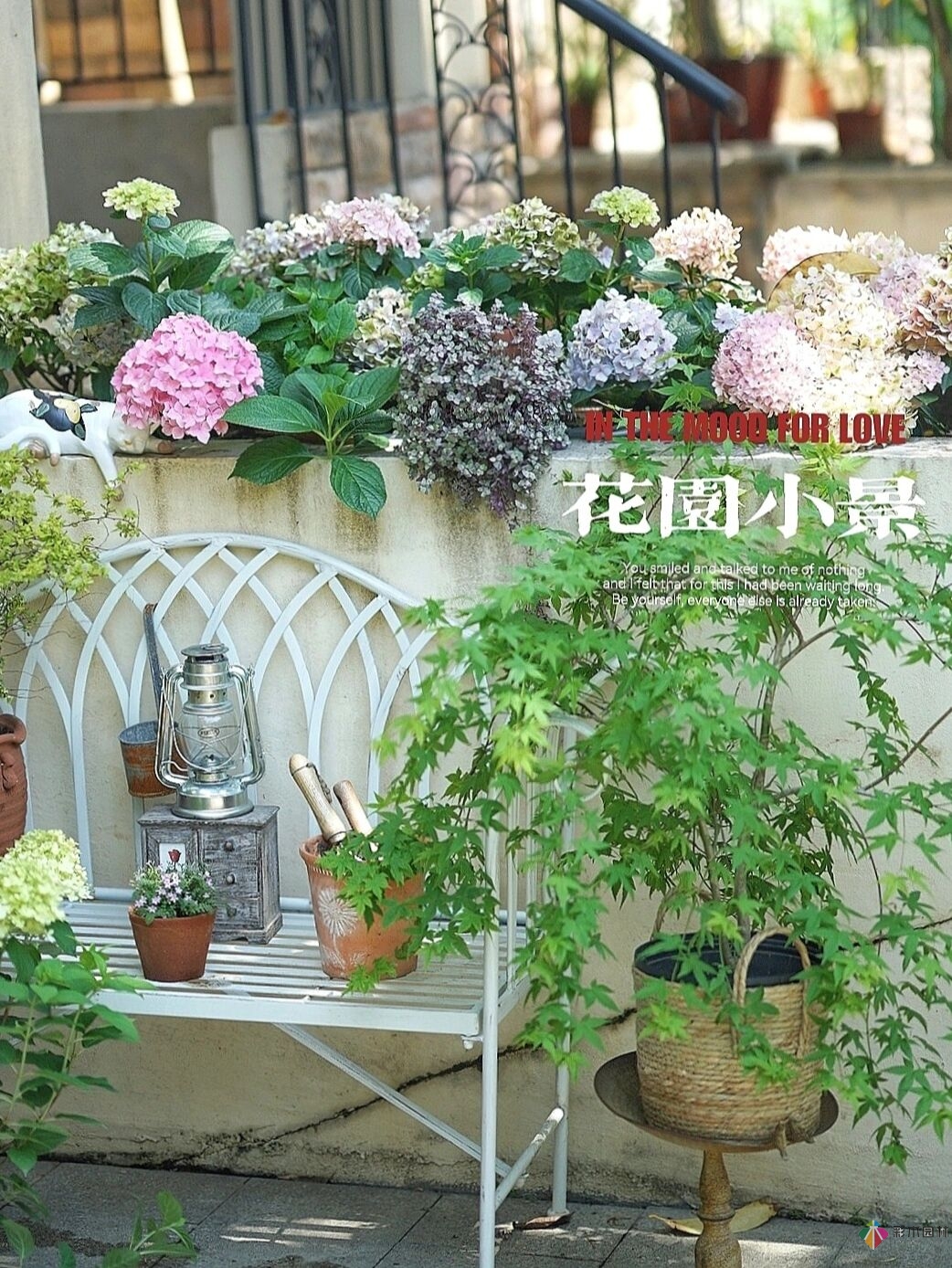 DIY園藝:自建設(shè)計(jì)100㎡花園。花不了多少錢，卻很有成就感。