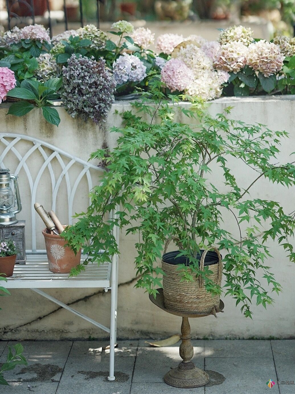 DIY園藝:自建設(shè)計(jì)100㎡花園。花不了多少錢，卻很有成就感。