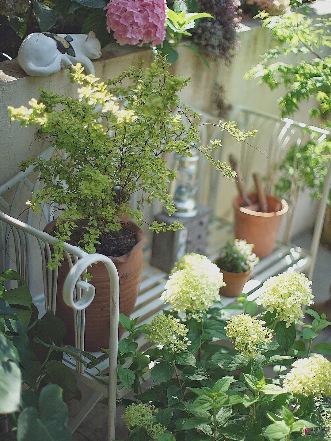DIY園藝:自建設(shè)計(jì)100㎡花園。花不了多少錢，卻很有成就感。