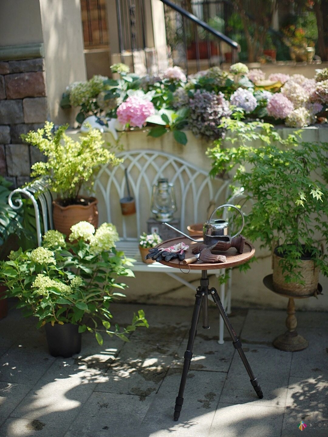 DIY園藝:自建設(shè)計(jì)100㎡花園。花不了多少錢，卻很有成就感。