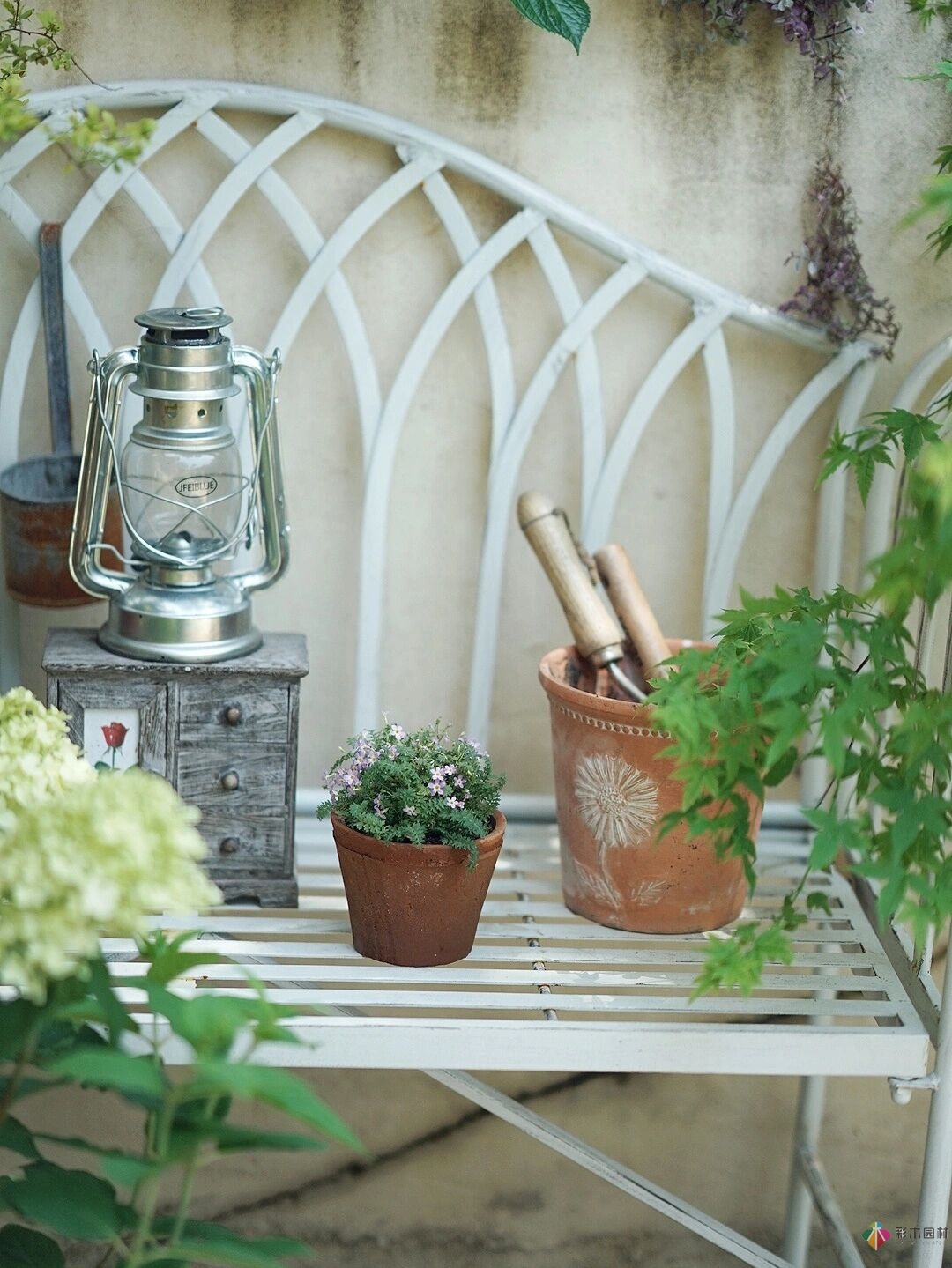 DIY園藝:自建設(shè)計(jì)100㎡花園。花不了多少錢，卻很有成就感。