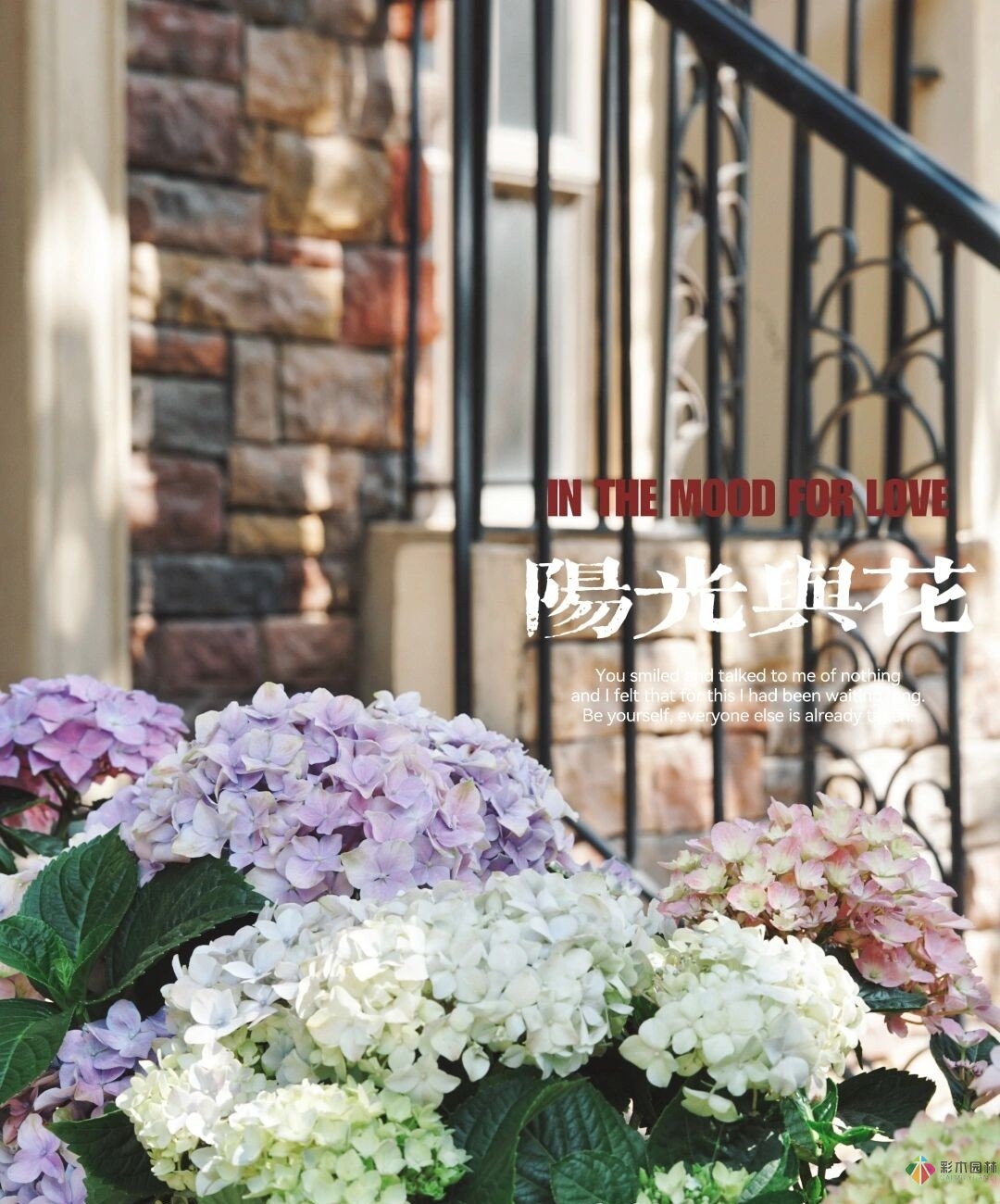 DIY園藝:自建設(shè)計(jì)100㎡花園。花不了多少錢，卻很有成就感。