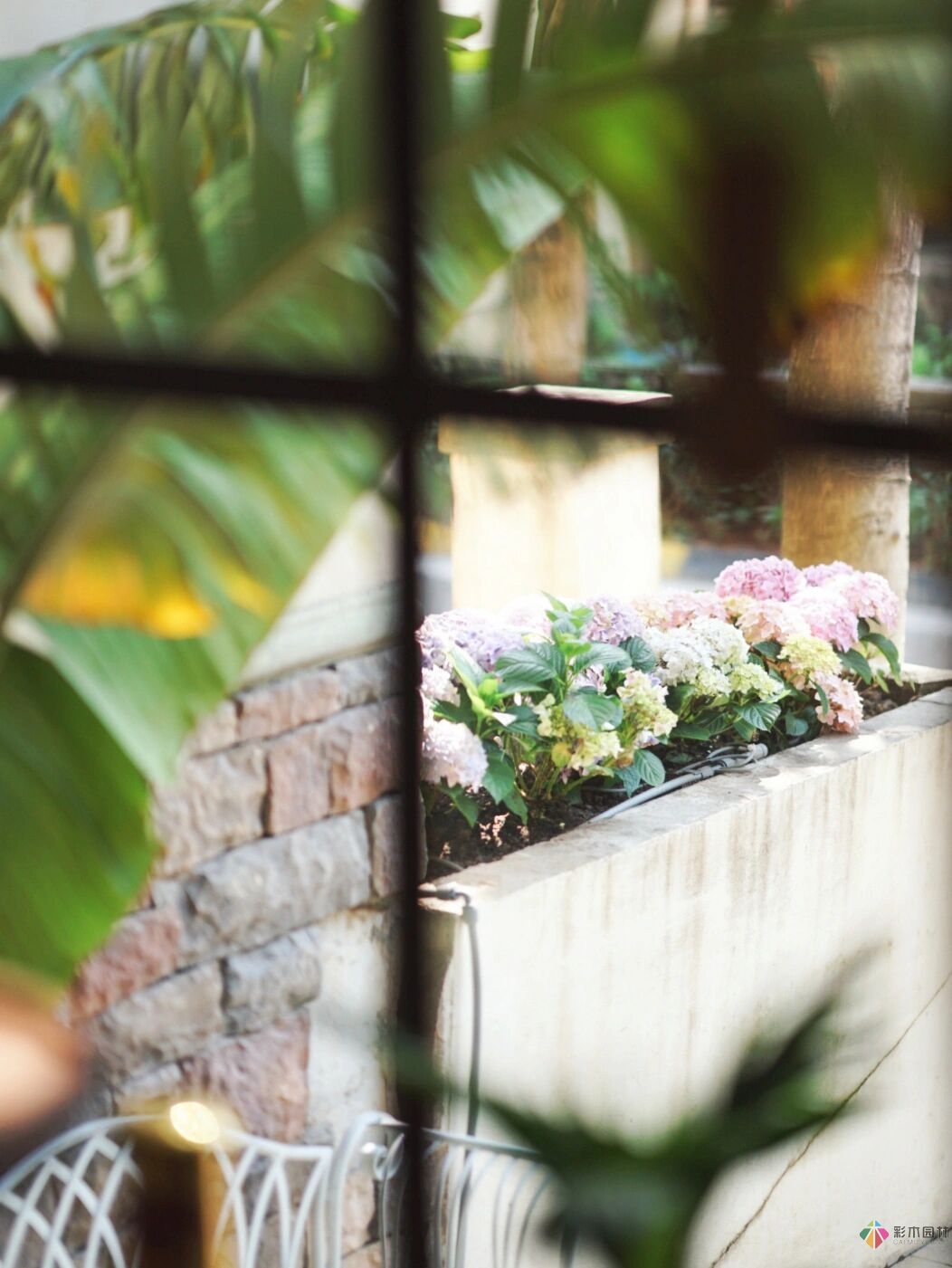 DIY園藝:自建設(shè)計(jì)100㎡花園。花不了多少錢，卻很有成就感。
