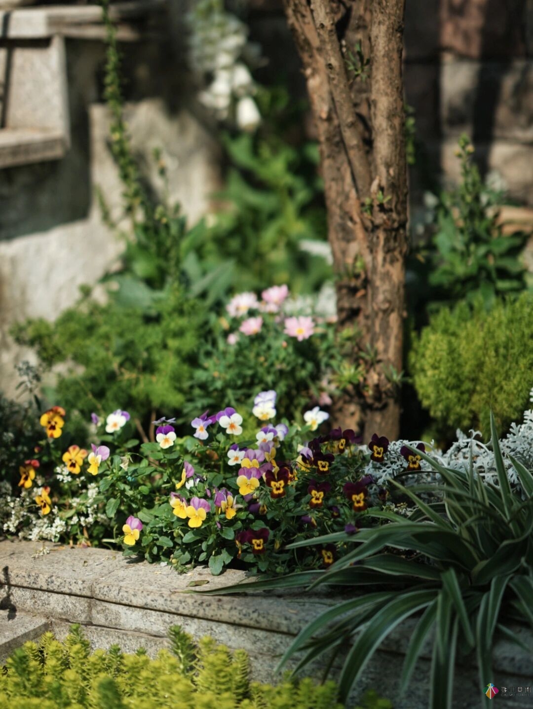 DIY園藝:自建設(shè)計(jì)100㎡花園。花不了多少錢，卻很有成就感。