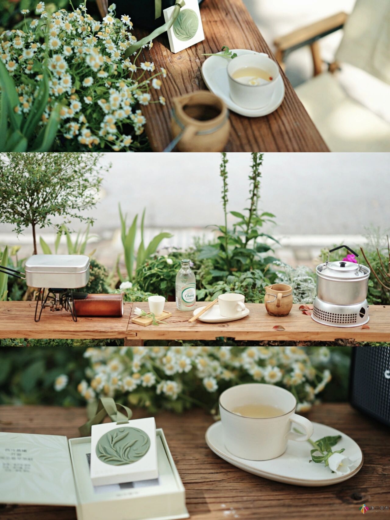 DIY園藝:自建設(shè)計(jì)100㎡花園。花不了多少錢，卻很有成就感。