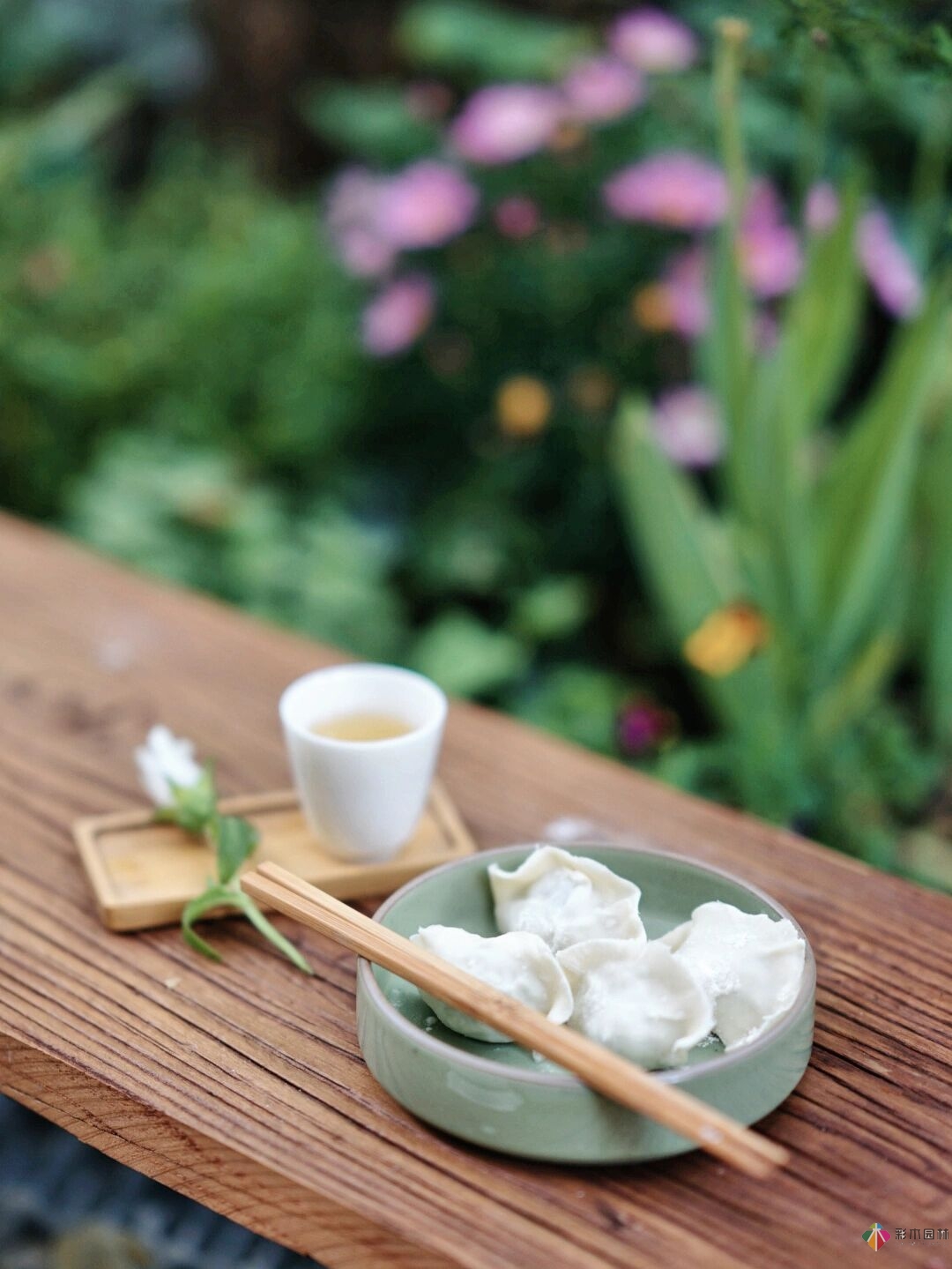 DIY園藝:自建設(shè)計(jì)100㎡花園。花不了多少錢，卻很有成就感。