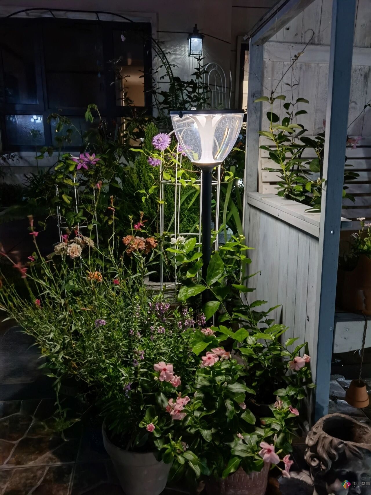 不顧父母反對,買了一層110㎡的院子,自己一個人折騰成花園。就這么治好了。