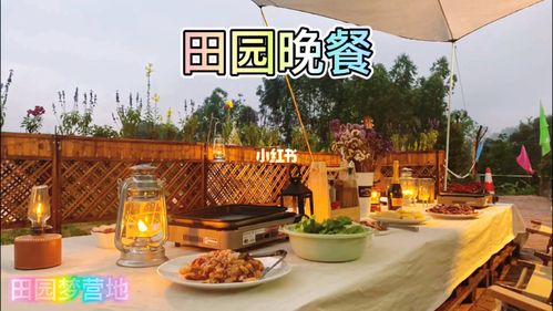 對于花園，我買了這個一樓帶院子的房子，自己裝修的過程